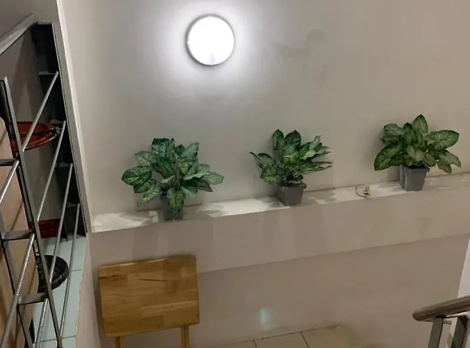 Apartment Will